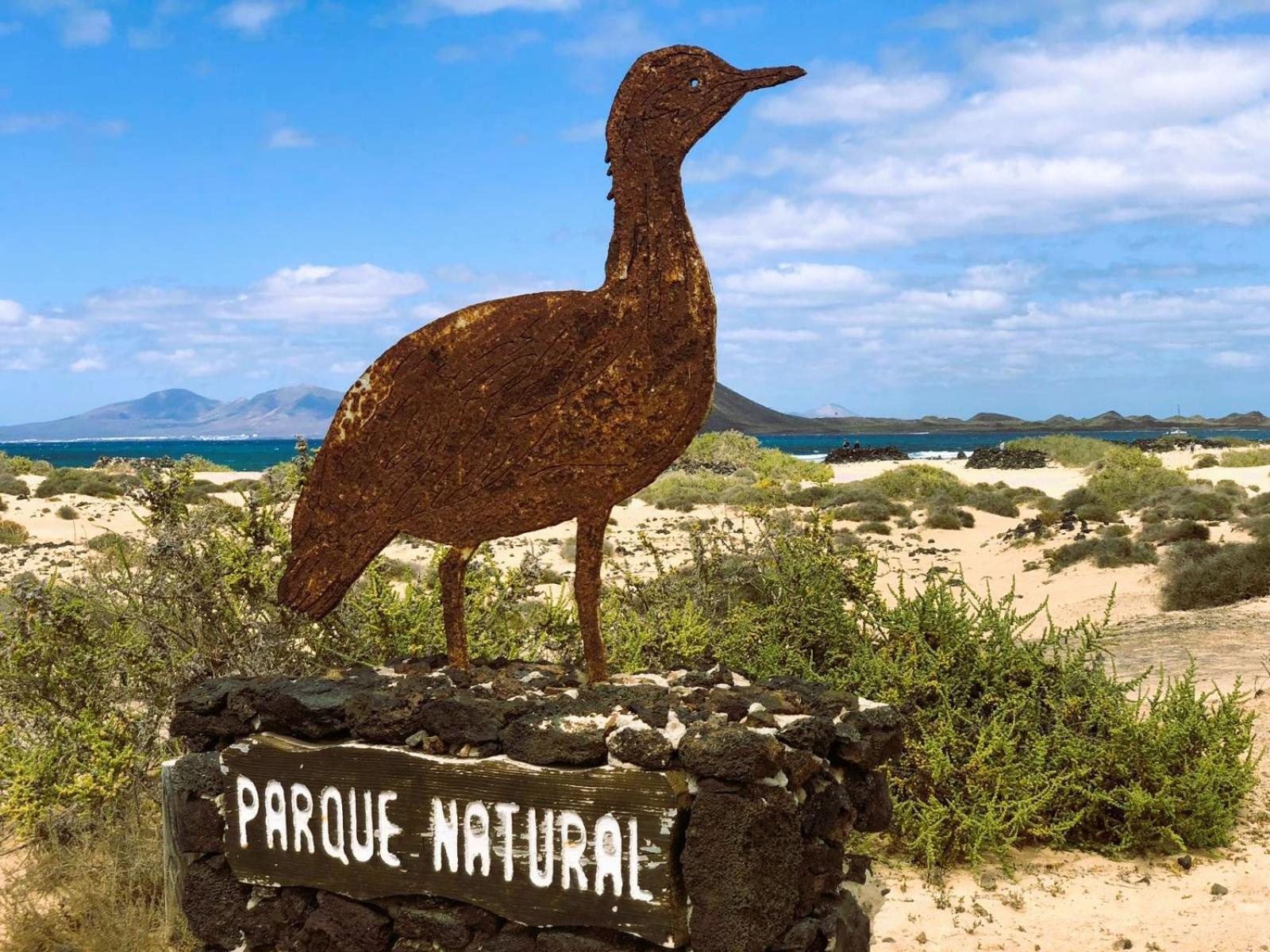 Royal Blue Corralejo By Sea You There Fuerteventura エクステリア 写真